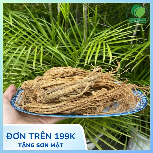 Đương Quy khô thái lát tiện dụng của THAPHACO