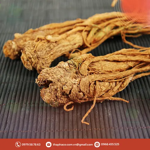 Đương Quy được chế biến trong món ăn bổ dưỡng