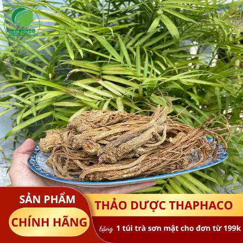 Dược Liệu THAPHACO - địa chỉ uy tín cung cấp Đương Quy