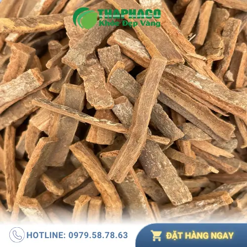 Hậu Phác khô chất lượng cao tại Thapaco