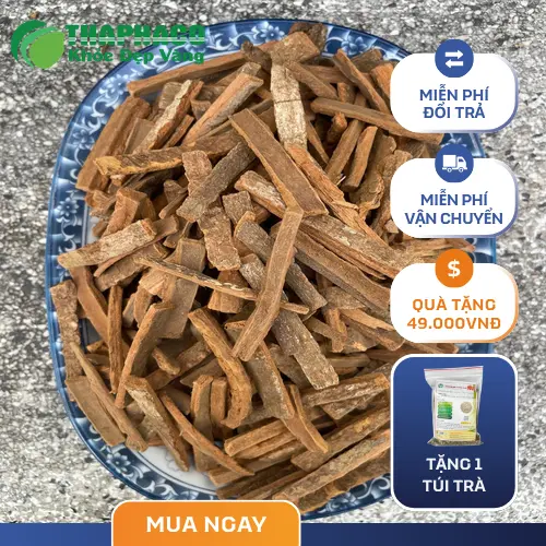 Hậu phác khô chất lượng cao từ THAPHACO