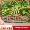 Hậu Phác Khô Thaphaco: Giá 1kg Bao Nhiêu? Chất Lượng Đảm Bảo