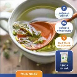 Mua Ích Mẫu Khô Ở Đâu Uy Tín? Giá Tốt, Chất Lượng Tại THAPHACO