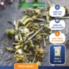 Mua Ích Mẫu Khô Uy Tín: Lựa Chọn Dược Liệu THAPHACO