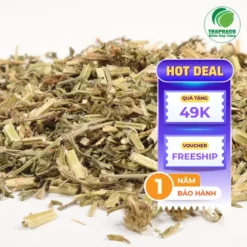 Mua Ích Mẫu Khô Ở Đâu Uy Tín? Địa Chỉ THAPHACO Đảm Bảo Chất Lượng
