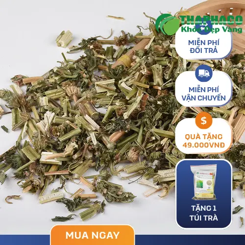 Hình ảnh trà ích mẫu sấy khô THAPHACO pha sẵn thơm ngon