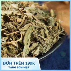 Địa chỉ bán mã đề sấy khô tại TP.HCM