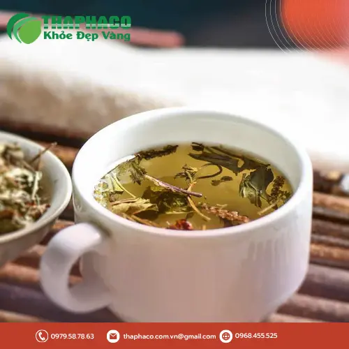 Cây mã đề tươi tự nhiên và những lợi ích cho sức khỏe