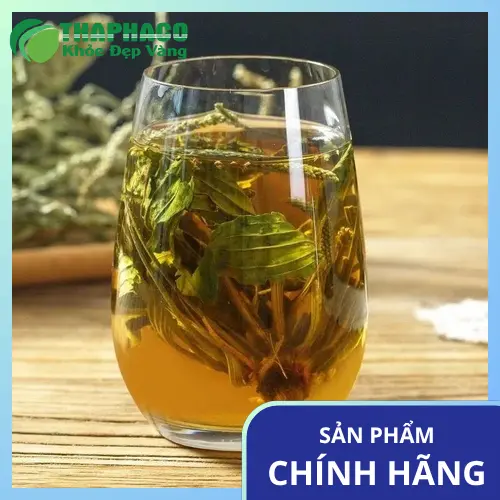 Quy trình sấy khô mã đề tại nhà máy THAPHACO