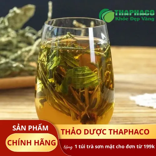 Trà mã đề sấy khô THAPHACO đã được đóng gói cẩn thận