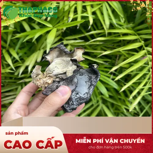 Mộc nhĩ khô là gì và giá trị dinh dưỡng