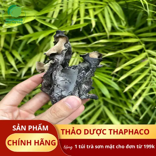 Ngâm mộc nhĩ khô trong nước sạch