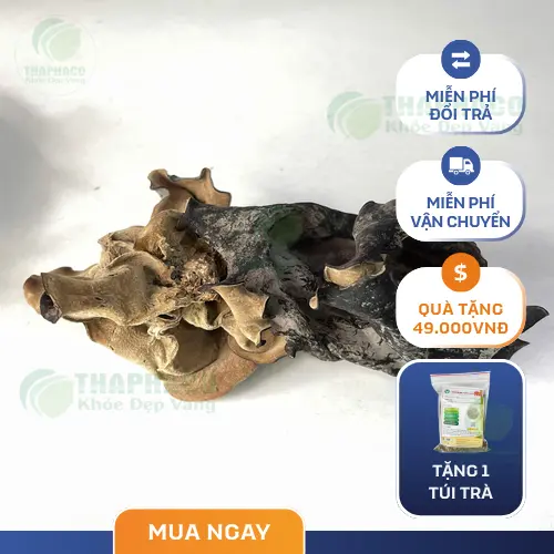 Quy trình sản xuất mộc nhĩ khô THAPHACO an toàn