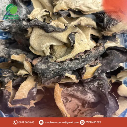 Sơ chế mộc nhĩ khô đúng cách