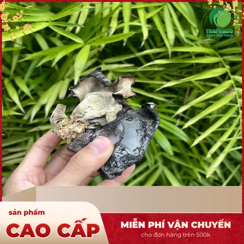 Lưu ý khi sử dụng mộc nhĩ khô an toàn