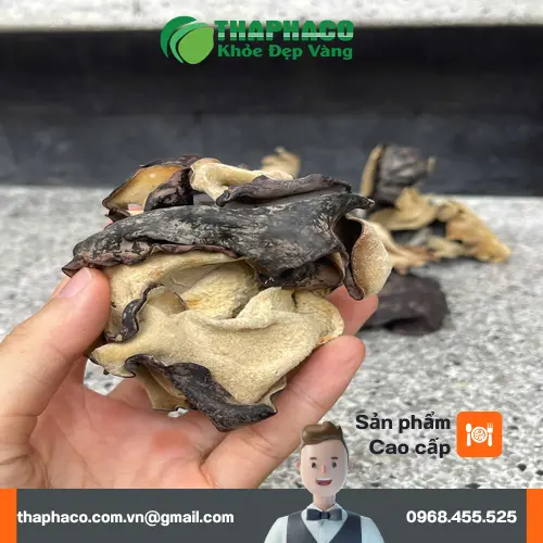 Cắt bỏ phần gốc cứng của mộc nhĩ