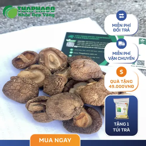 Nấm đông cô tươi chất lượng cao