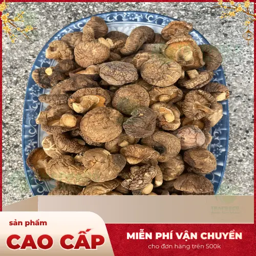 Chất lượng nấm đông cô sấy khô được đảm bảo tại THAPHACO