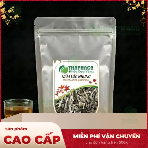 Nấm lộc nhung tươi và khô