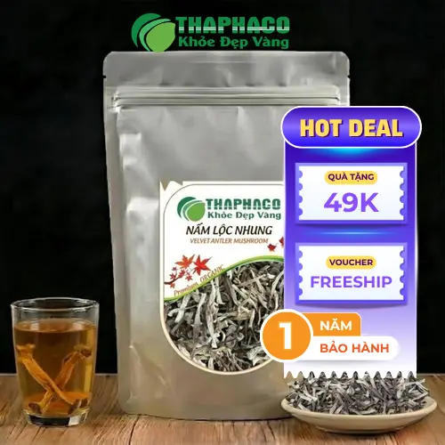 Nấm Lộc Nhung tươi và khô