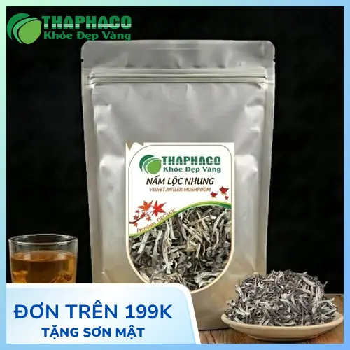 Nấm lộc nhung tươi và khô