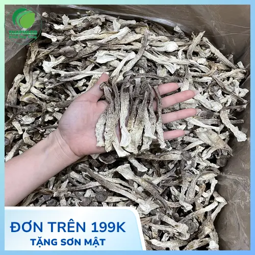 Công dụng hỗ trợ sức khỏe của Nấm Lộc Nhung