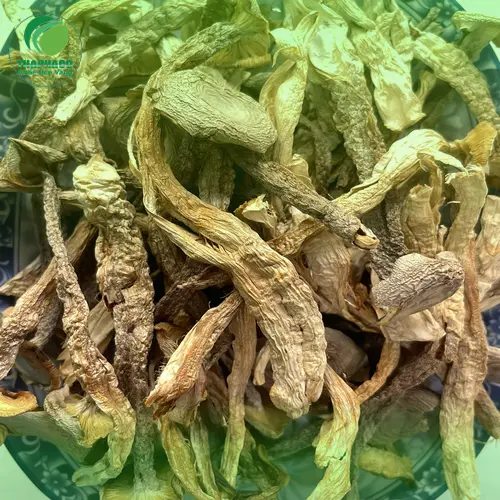 Các món ăn chế biến từ nấm lộc nhung thơm ngon