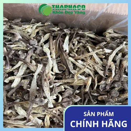 Công dụng nấm lộc nhung