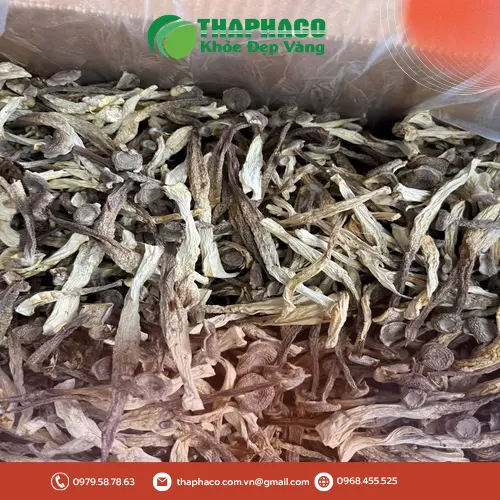 Giá trị dinh dưỡng của nấm lộc nhung