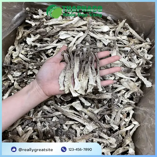 Nấm lộc nhung khô có độ giòn khi bẻ