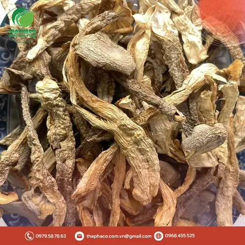 Cách sử dụng Nấm Lộc Nhung Khô THAPHACO