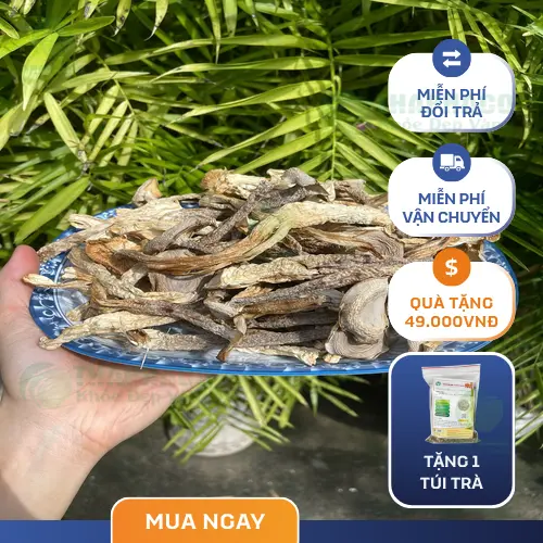Cách dùng Nấm Lộc Nhung đúng cách