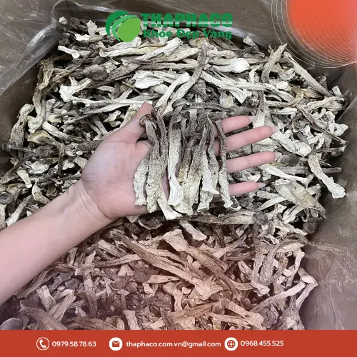 Lưu ý khi sử dụng nấm lộc nhung sấy khô