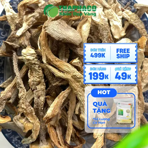 Cách dùng nấm lộc nhung hiệu quả