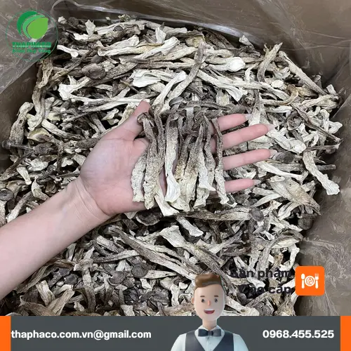 Cách chế biến nấm lộc nhung