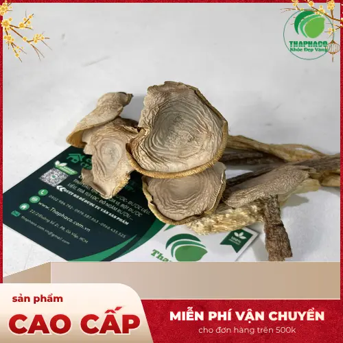 Cách dùng Nấm Lộc Nhung hỗ trợ sức khỏe
