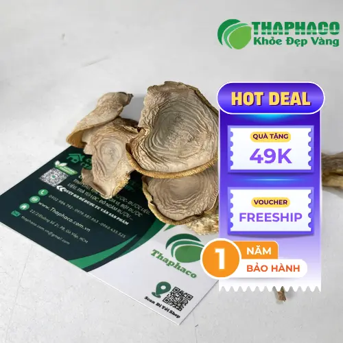 Giá bán Nấm Lộc Nhung chất lượng tại THAPHACO