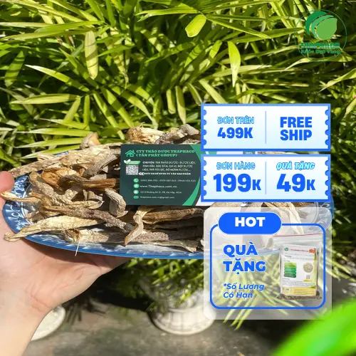 Mua Nấm Lộc Nhung Sấy Khô tại THAPHACO