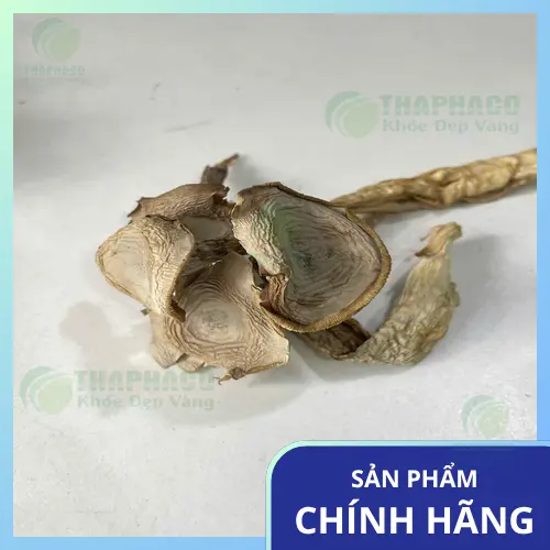 Nấm lộc nhung sấy khô chất lượng từ THAPHACO