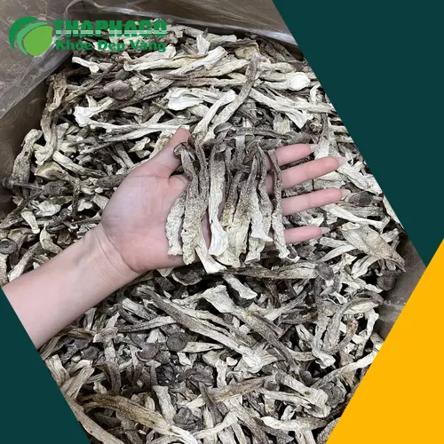 Nấm Lộc Nhung đang được sơ chế