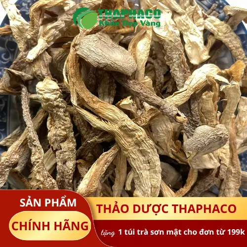 Tư vấn mua Nấm Lộc Nhung chất lượng tại THAPHACO