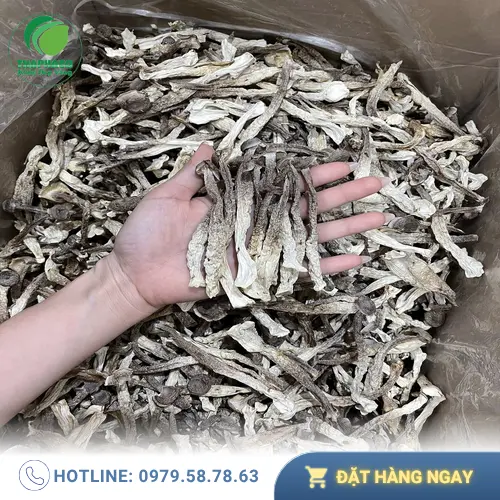 Các món chay ngon từ nấm lộc nhung