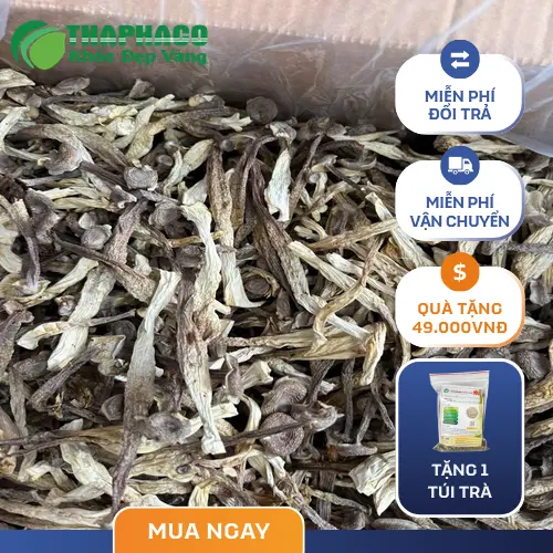 Bảo quản nấm lộc nhung khô đúng cách