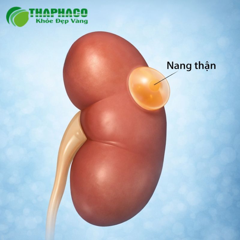 nang thận là gì