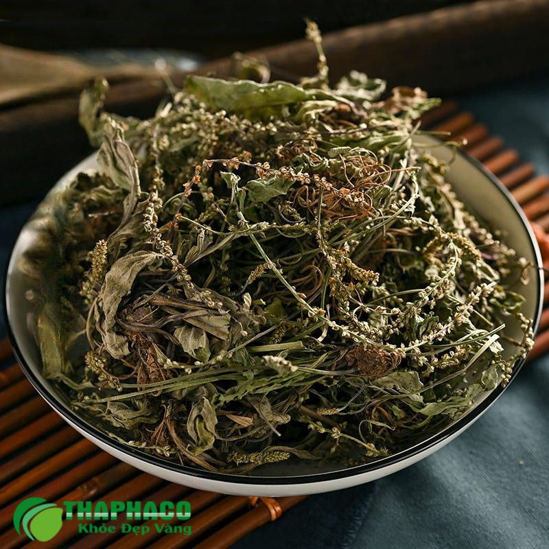 Thaphaco cung cấp các dược liệu sạch, nguyên chất như Kim tiền thảo, Râu mèo, Mã đề