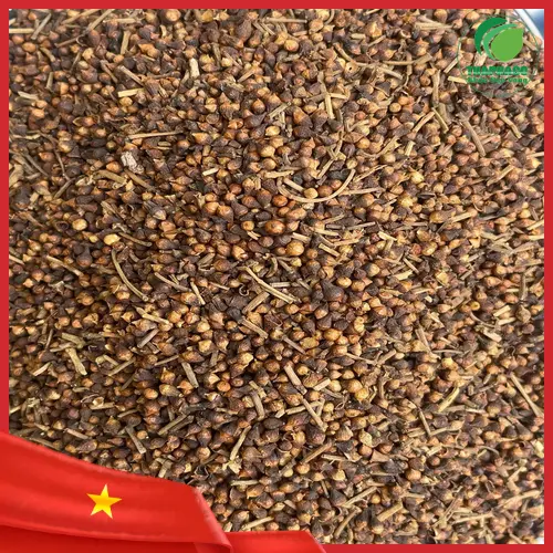 Nụ Vối THAPHACO khô chất lượng cao, chuẩn tự nhiên