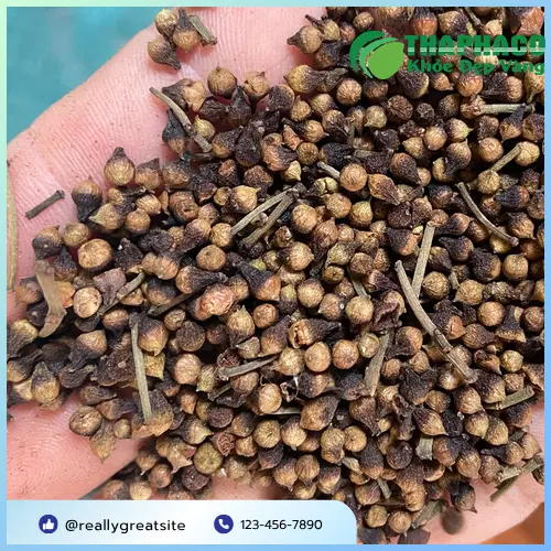Trà nụ vối THAPHACO giúp giải nhiệt, thanh lọc cơ thể hiệu quả