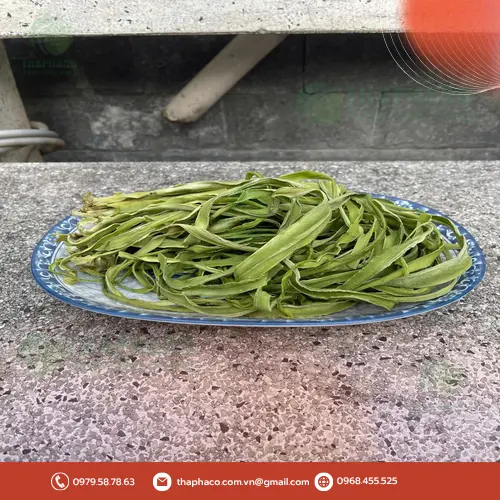 Nguồn gốc và đặc điểm của cây rau tiến vua