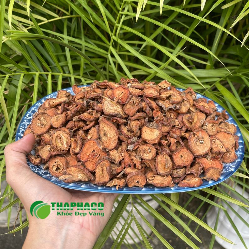 Dược Liệu Thaphaco SẠCH, NGUYÊN CHẤT Hỗ Trợ Kiểm Soát Rối Loạn Chuyển Hóa Lipid