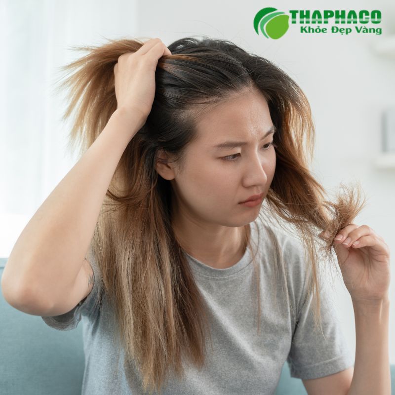 rối loạn nội tiết tố nữ là gì